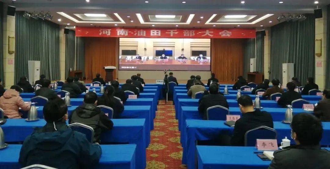 河南中石化今日价格，市场动态与消费者影响分析