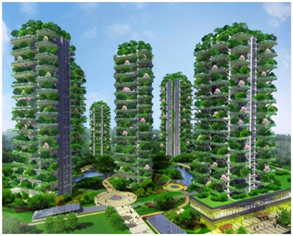 2035年，澳门精准正版资料的前瞻与展望2023澳门精准正版资料大全今晚的