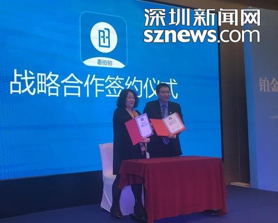 钯金走势深度分析，市场动态、影响因素与未来展望