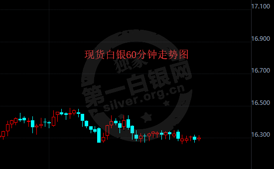 今日银价行情，中国白银网权威解读与市场分析