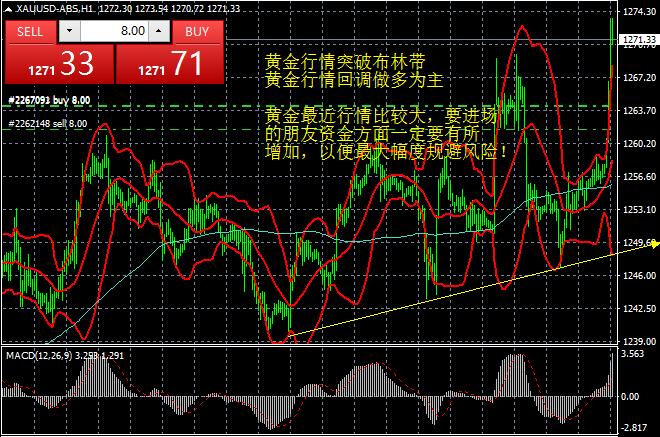 融通金今日实时报价，黄金市场的动态与投资策略分析