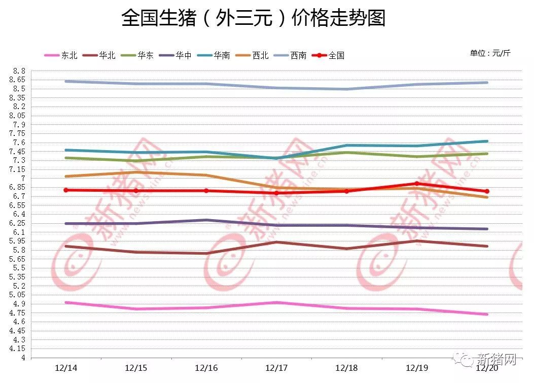 今日猪价一览表，市场动态与养殖户的晴雨表