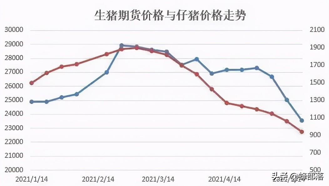 生猪价格走势的K线图解析，市场波动与未来展望