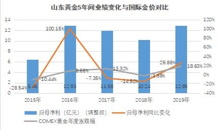 山东黄金股吧最新评论，市场情绪与投资展望