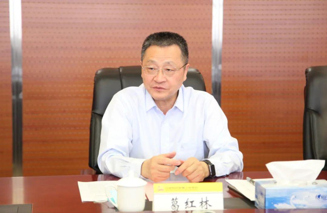 山东黄金股票历史行情，从辉煌到稳健的黄金之旅