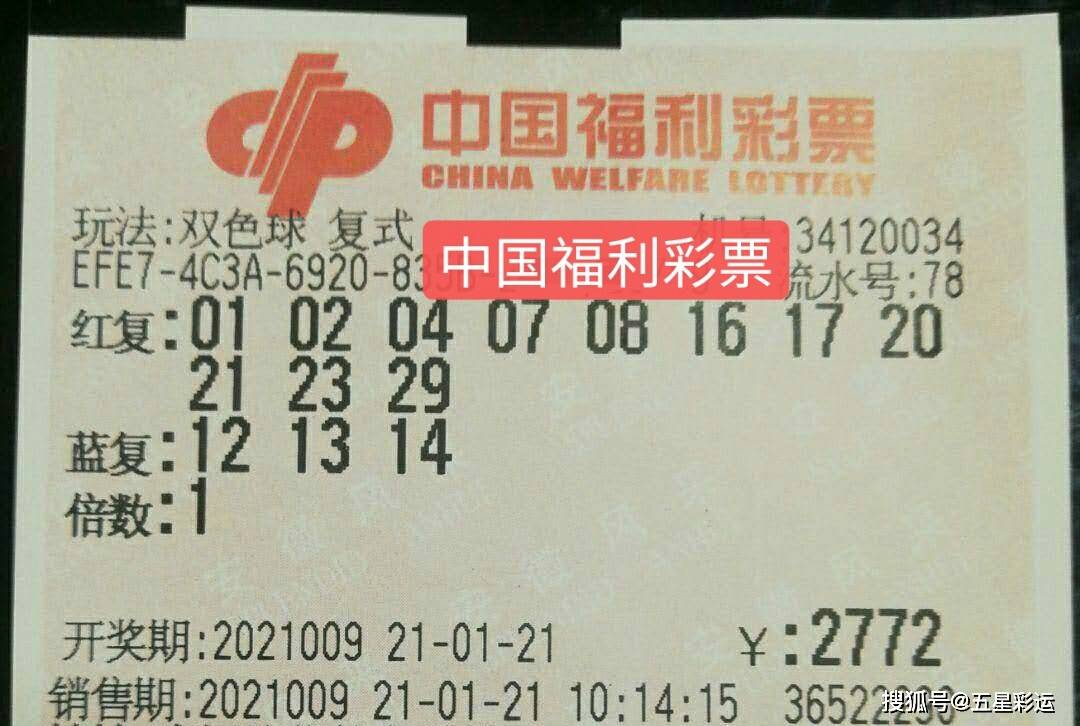 揭秘黄大仙六肖中特，期期的精准资料黄大仙六肖期期中特74