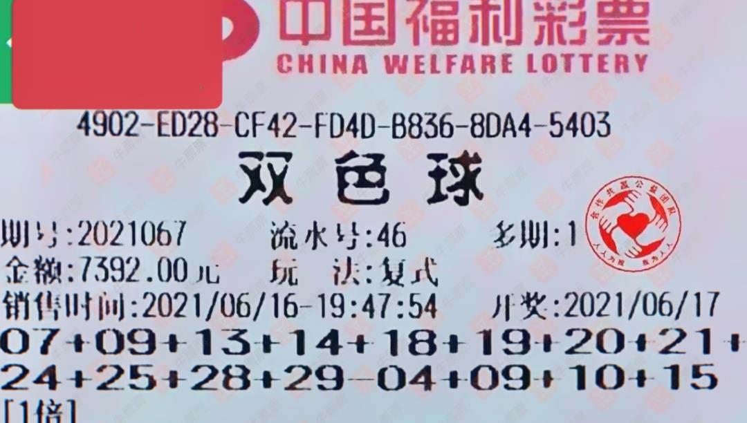 2023115双色球，梦想与机遇的碰撞