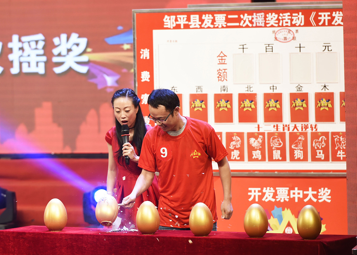 双色球网站擂台赛，智慧与运气的激烈碰撞
