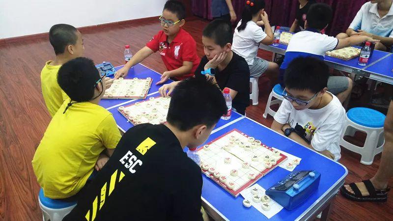 浙江风采网走势图500期，见证数字背后的故事与趋势