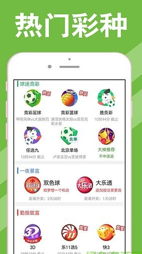 河南快三开奖号码，揭秘背后的概率与乐趣
