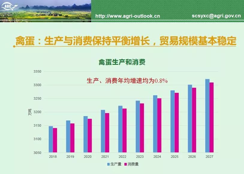 河南481，历史、现状与未来展望