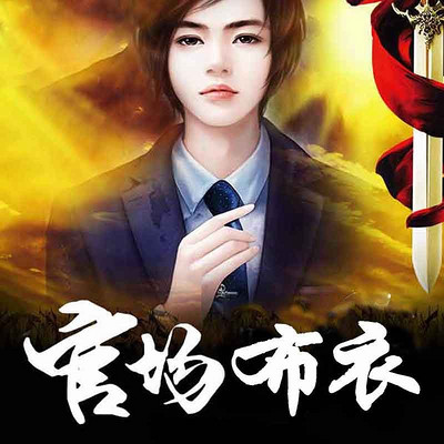 探秘布衣官道小说完整版，草根崛起，官场风云录