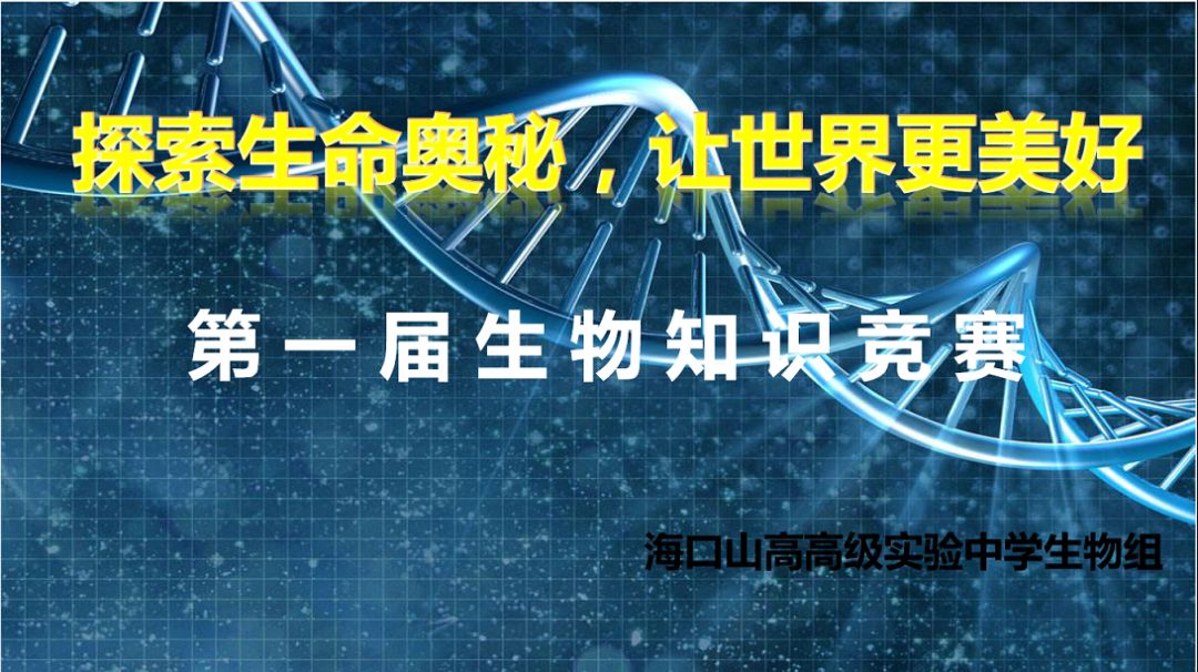 探索上海快三玩法的奥秘，一场智慧与运气的精彩博弈