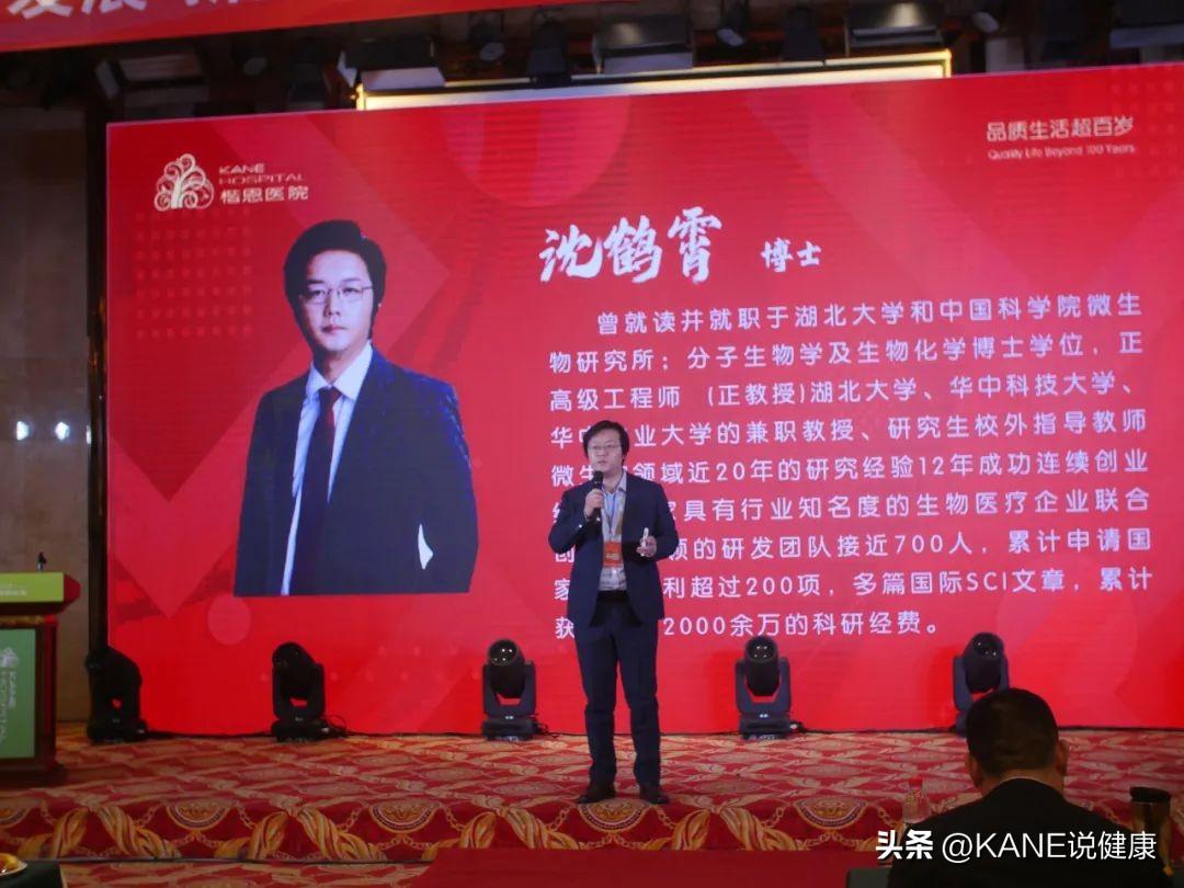 2023年世界杯，足球盛宴的全球新篇章