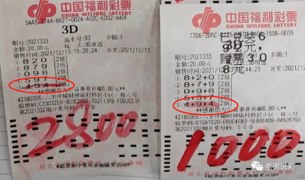3D彩票新纪元，探索今日最新试机号的奥秘