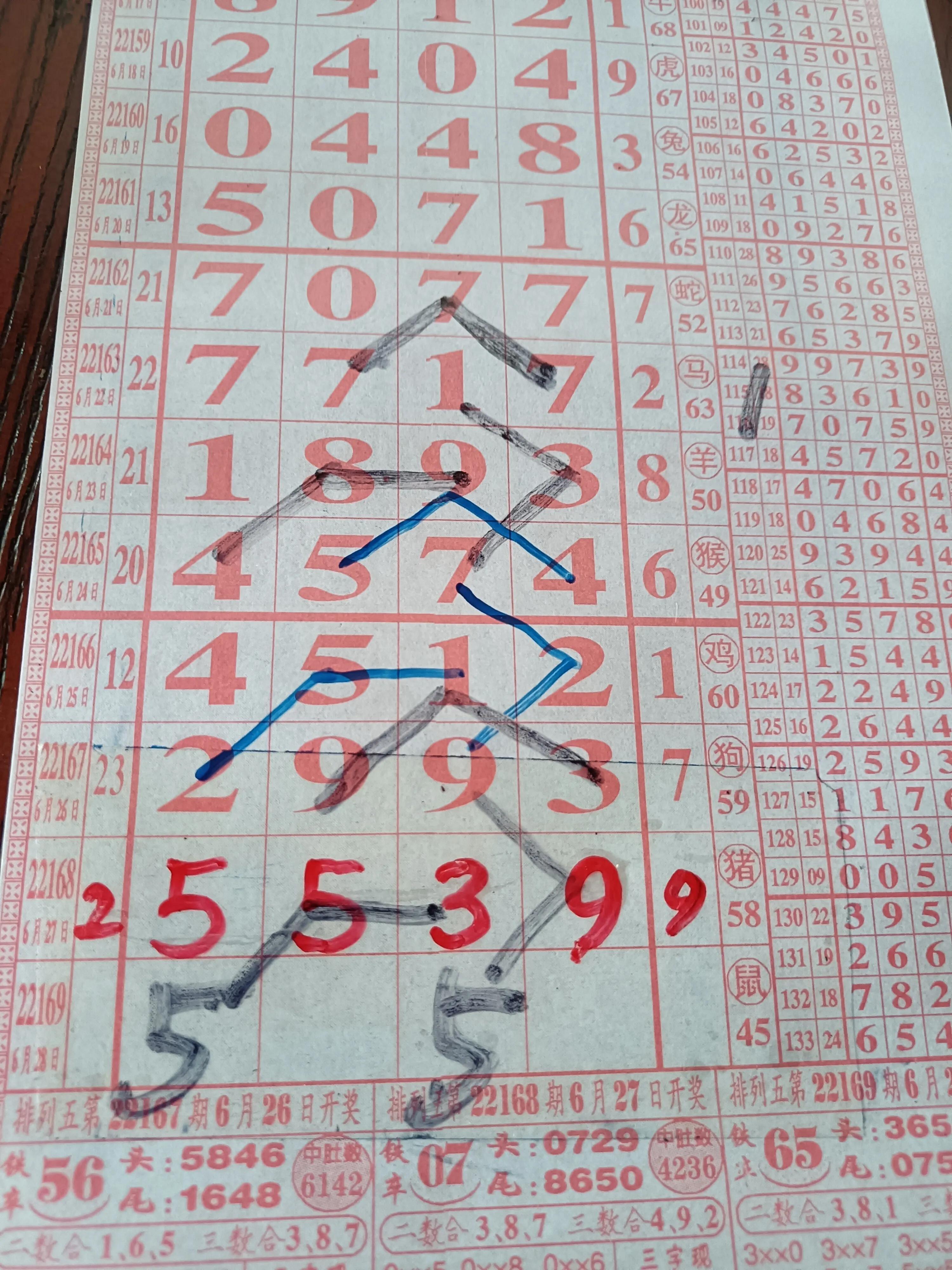 探索上海排列五，揭秘开奖查询的奥秘与乐趣