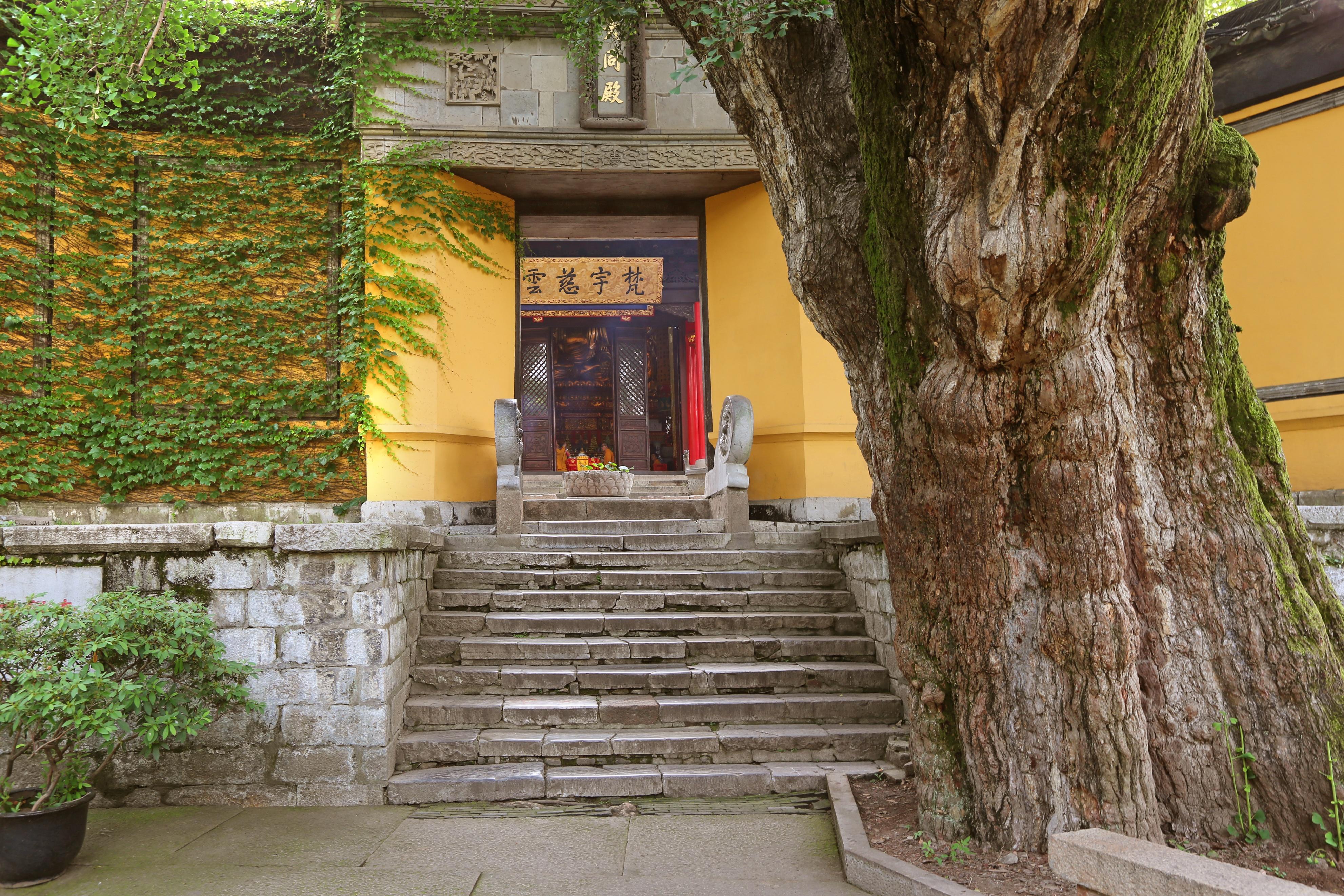 探索江苏11选五走势的奥秘，理性投注与智慧分析