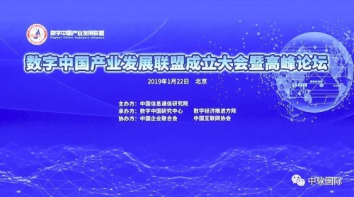探索红五3d图库2020265期的奥秘，一场数字与策略的较量