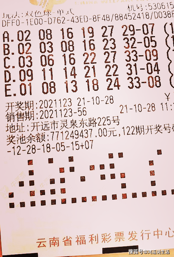探索香港马会开奖直播，一场精彩绝伦的赛场盛宴香港马 会开奖结果新闻