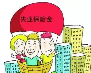 浙江快三开奖结果查询，便捷、透明与乐趣的完美结合