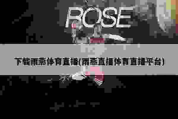 体育直播新风尚，雨燕直播的魅力与影响