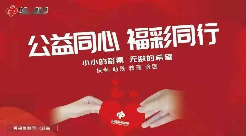 辽宁风采福利彩票，点亮希望之光，共筑公益梦想