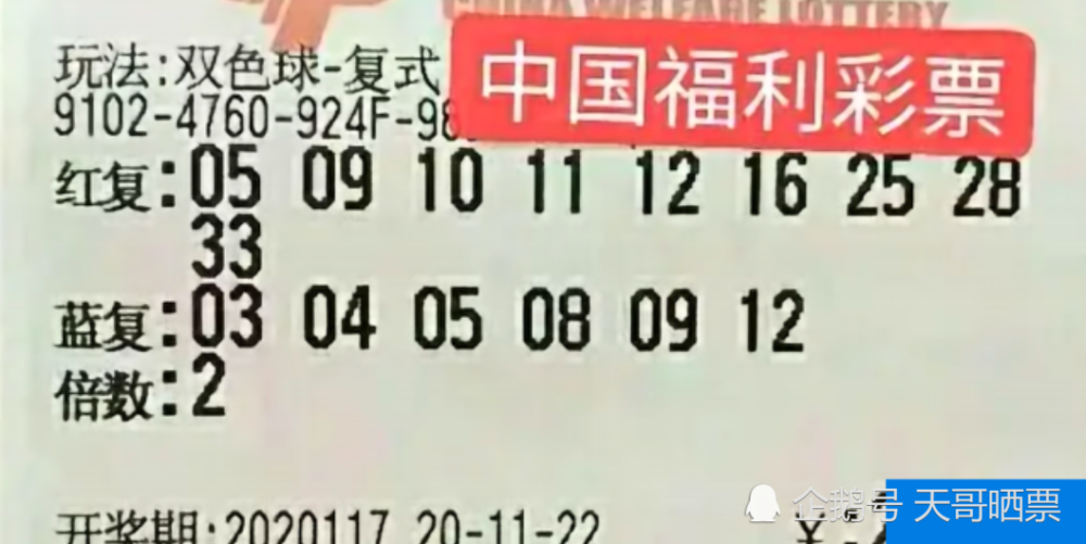 第1241页