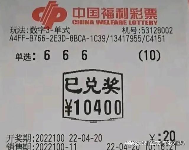 探索数字的奥秘，揭秘3D与排列五开奖结果