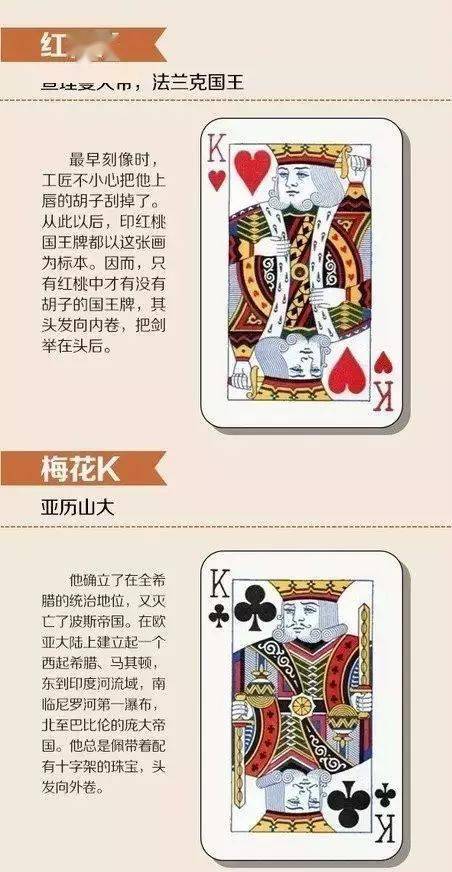 彩界天才，毒胆必下的奥秘与智慧