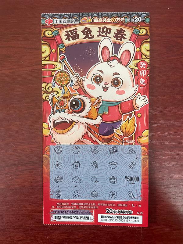 揭秘王中一肖的背后，理性与智慧的博弈王中王一肖一码一特一中的人物介绍