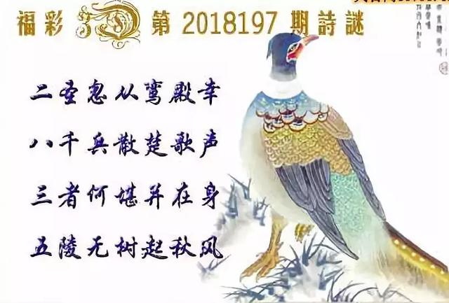 3D字谜图谜总汇，解锁全图迷彩的奇妙之旅