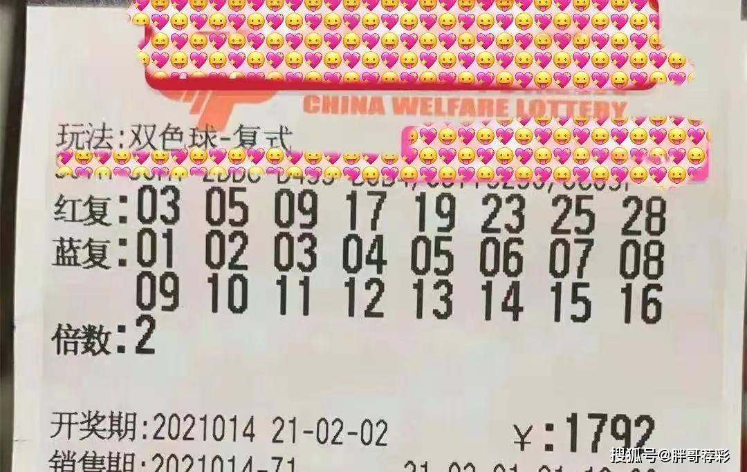 探索双色球彩票开奖结果，揭秘查询的奥秘与乐趣