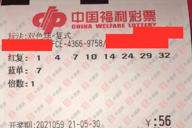 探秘香港赛马会
