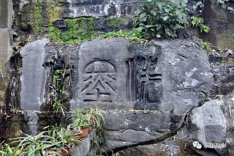 探秘华彩网大红门，传统与现代交织的数字娱乐新地标彩票软件华彩大红门真品牌