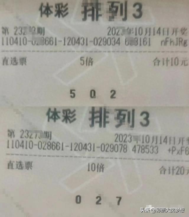 揭秘体彩排列三，开奖号码背后的奥秘与乐趣