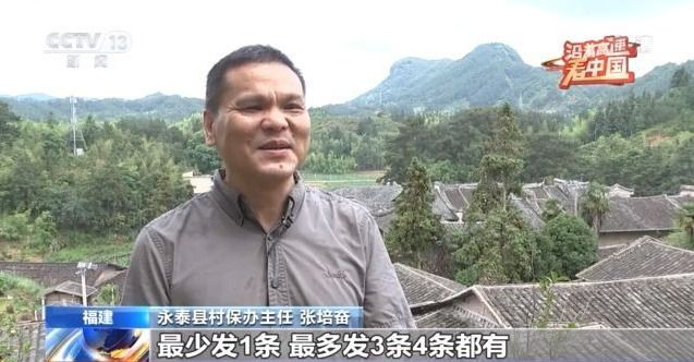 澳洲幸运5，揭秘开奖号码背后的神秘与乐趣