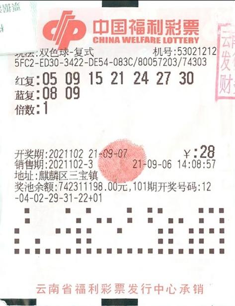 2035年展望，澳门彩票的数字化革新与未来趋势2025澳门开奖结果查询
