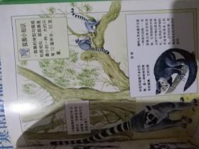 探索特马，非洲的神秘与活力特马今晚开奖号码查询