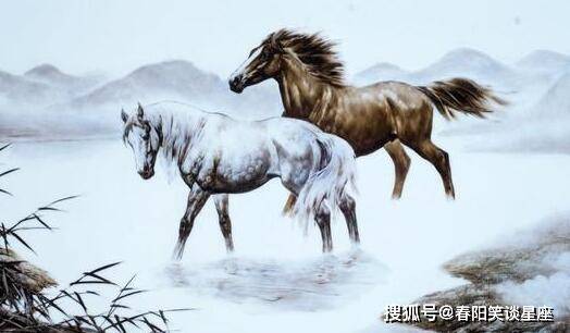 肖马同行，一萧二马的传奇故事一肖二马100%