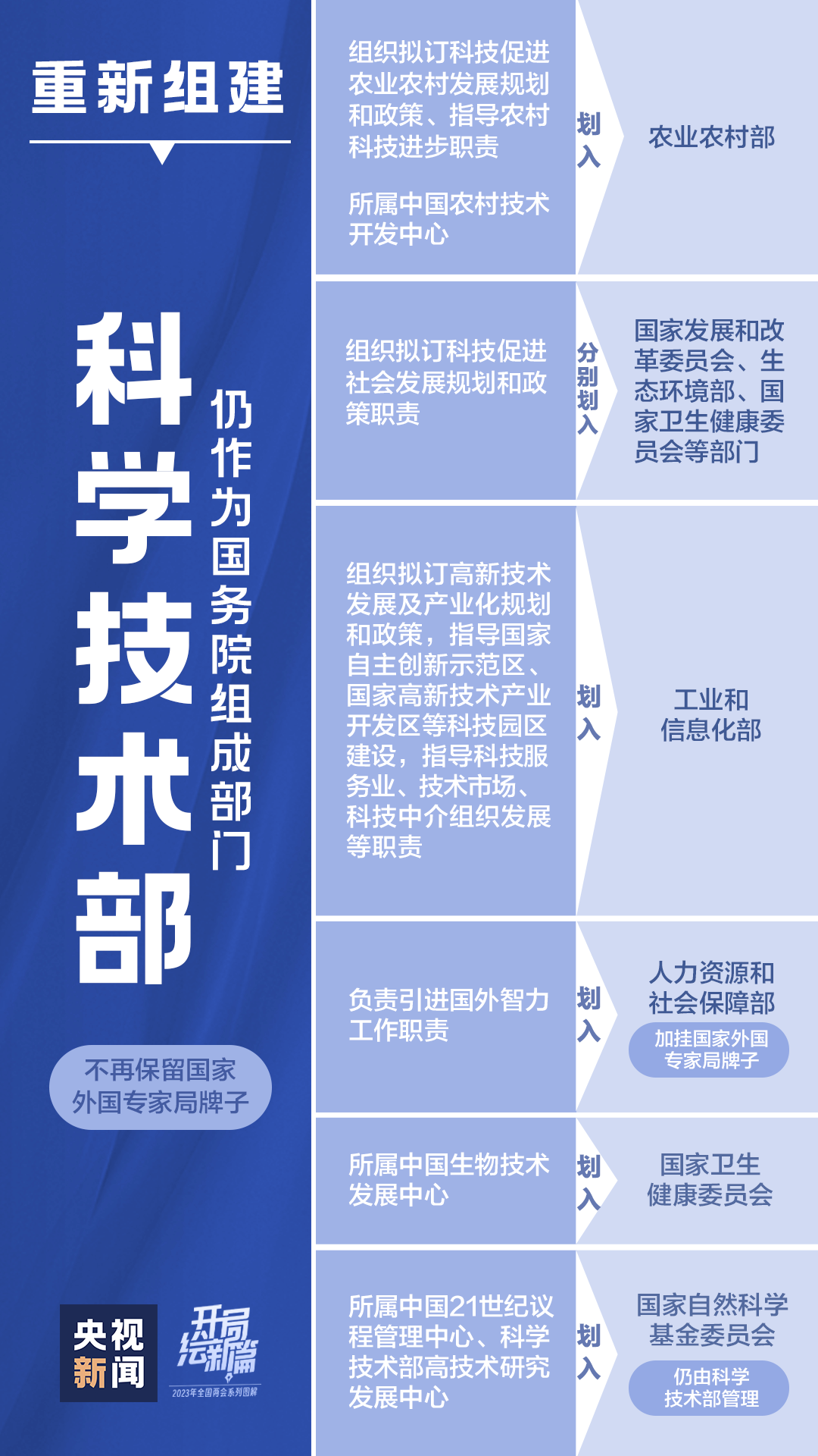 揭秘白姐肖中特马，深度解析与理性探讨2021年白姐一肖中特