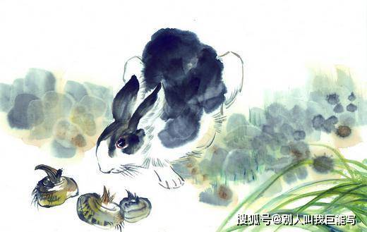 春满人间话生肖，探寻兔年之谜春满人间是什么生肖动物