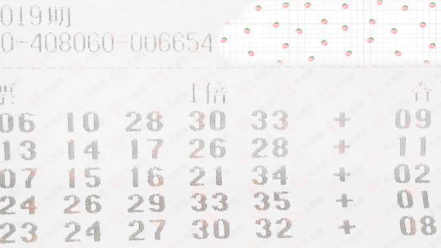 澳门开奖结果 第13页