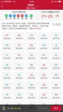 吉利平肖，解码中国彩票文化的独特符号—以吉与数字的和谐共舞吉利平肖平码论坛永久域名