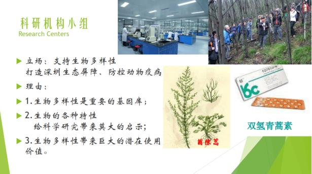 免费资料大全，香港曾道之知识宝库香港曾道2010正版免费资料