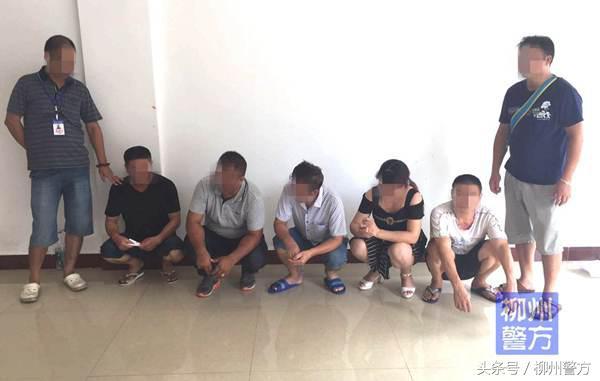 揭秘六和彩开奖结果，一场数字游戏的背后六和彩开奖结果资料查询2025