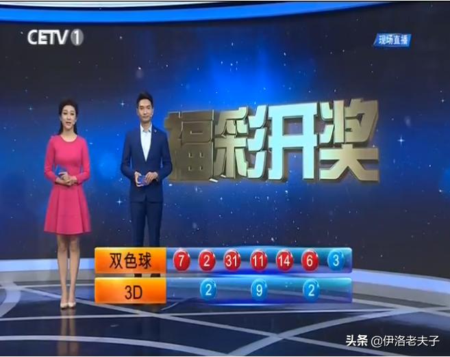 本期香港码开奖结果揭秘，数字背后的故事与期待本期香港码开奖结果2024