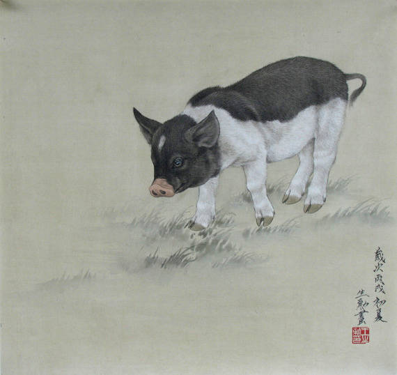 今晚四不像生肖图，神秘与趣味的奇妙融合今晚四不像生肖图今期玩法