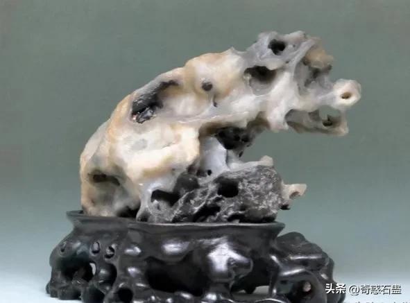 百万图库，数字时代的视觉盛宴百万图库最正确的生肖