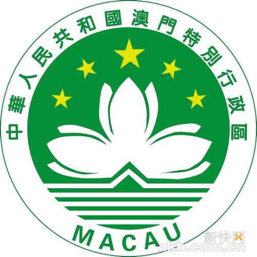 探索新澳门资料大全，揭秘正版资料的独特魅力与4不像现象新澳门资料大全正版资料4不像49