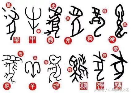2018年四不像特马生肖图，探寻传统与现代交融的神秘符号四不像特肖图片今期今开奖